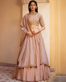 Beige Printed Highlighted Lehenga Set