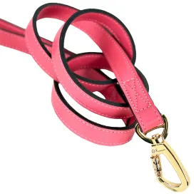 Belmont Dog Leash in Petal Pink & Gold