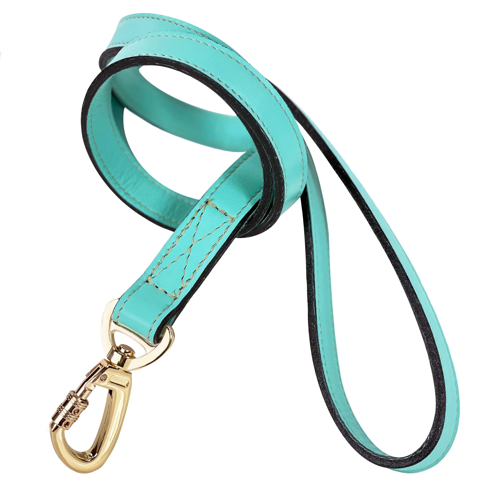 Octagon Dog Leash in Turquoise & Gold