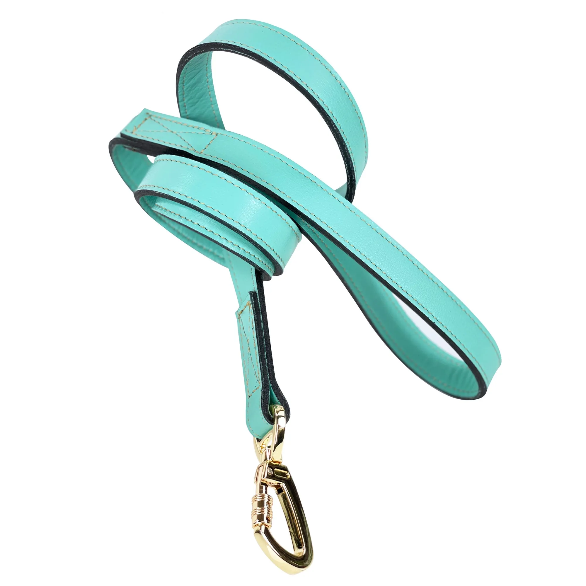 Octagon Dog Leash in Turquoise & Gold