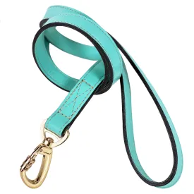 Octagon Dog Leash in Turquoise & Gold