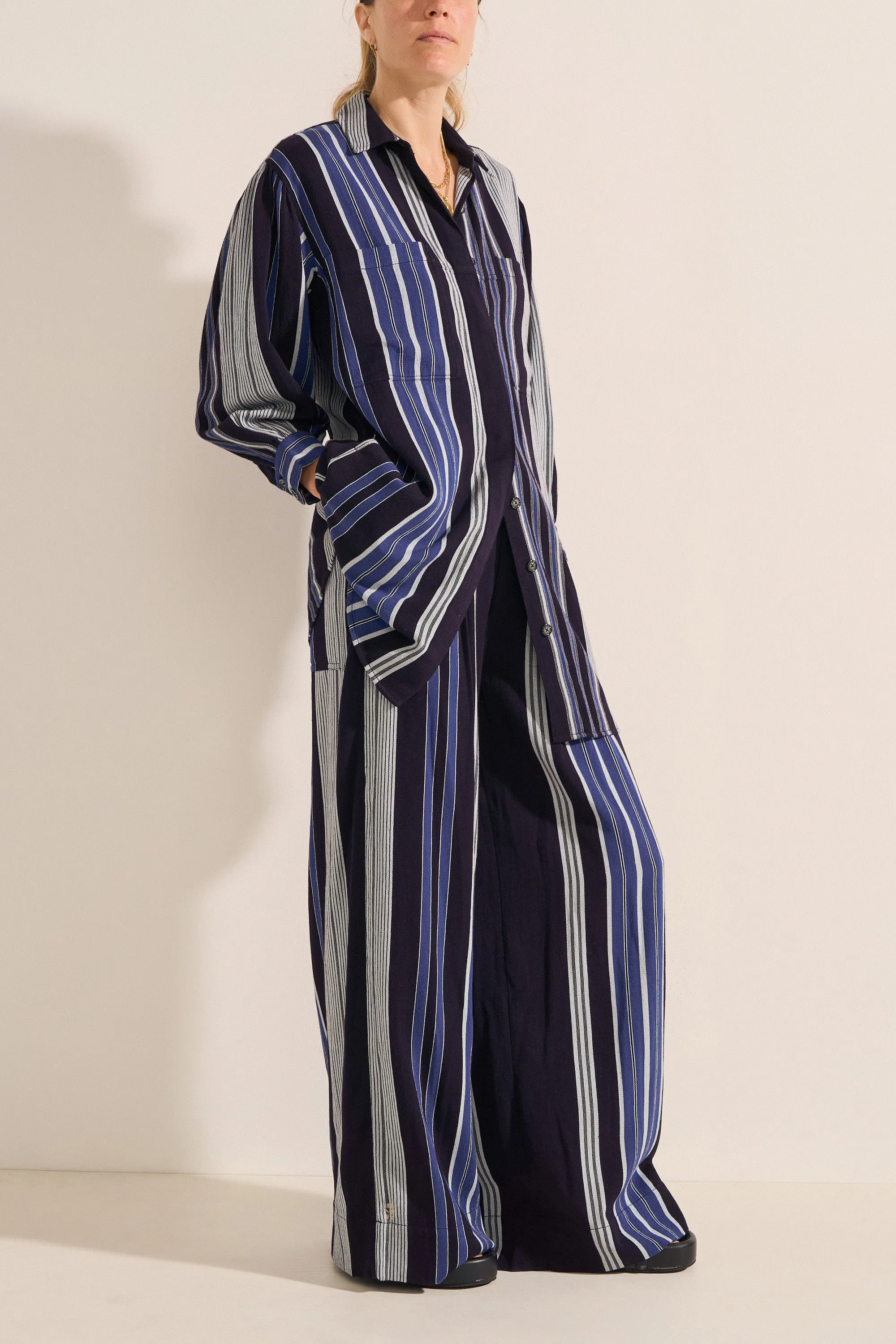 Plutus Delos Stripe Shirtdress